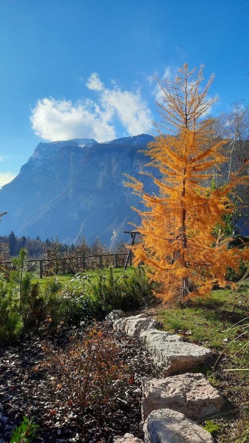Il Giardino Di Anna - Appartamento 1 في ديلا باغانيلا المظهر الخارجي الصورة